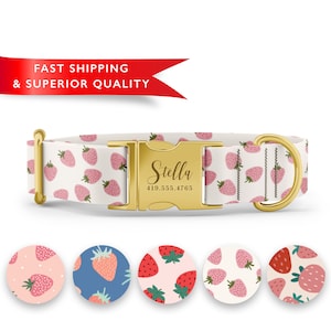 May include: A white dog collar with a gold buckle and a gold D-ring. The collar has a strawberry pattern and the buckle has the name "Stella" and a phone number engraved on it.