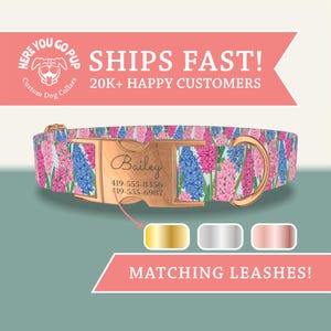 May include: Custom dog collar with a floral pattern in pink, blue, and white. The collar has a rose gold buckle and a nameplate with the name "Bailey" and two phone numbers. The text "Here You Go Pup" and "Custom Dog Collars" are also visible.