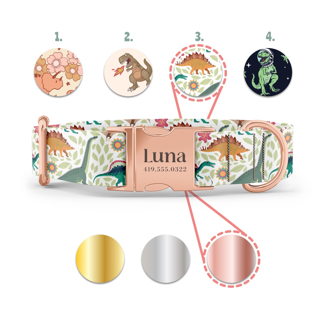 Dinosaur Dog Collar Personalized Dog Collar Custom Dog Etsy