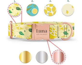 May include: A yellow dog collar with a lemon print and a rose gold buckle. The buckle has the name "Luna" and phone number "419.555.0322" engraved on it. The collar is shown with three different buckle color options: gold, silver, and rose gold.