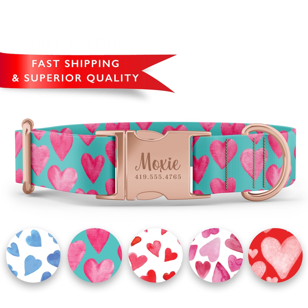Valentines Dog Collars, Watercolor Heart Dog Collar, Cute Girl Dog