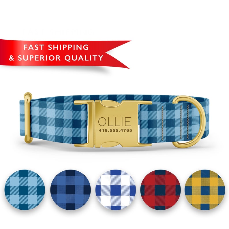 K&ouml;nnte beinhalten: Blau-wei&szlig; kariertes Hundehalsband mit goldener Schnalle und einem Namensschild mit der Aufschrift "OLLIE 419.555.4765". Das Halsband wird mit anderen karierten Mustern in Blau, Rot und Gelb gezeigt.