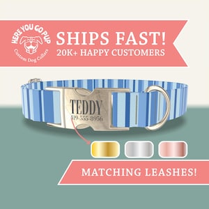 Light Blue Striped Dog Collar- Nautical Preppy Dog Collar, Durable and Adjustable Pet Collar- Matching Leashes Available