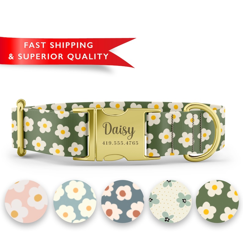 K&ouml;nnte beinhalten: Ein gr&uuml;nes Hundehalsband mit einem wei&szlig;en G&auml;nsebl&uuml;mchenmuster und einer goldenen Schnalle. Die Schnalle ist mit dem Namen "Daisy" und einer Telefonnummer graviert. Das Halsband wird mit f&uuml;nf verschiedenen Farbvarianten des G&auml;nsebl&uuml;mchenmusters gezeigt.