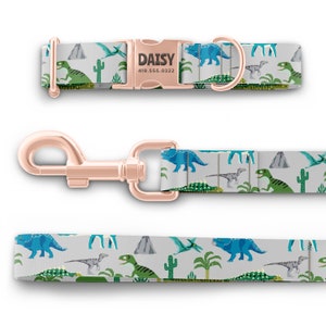 May include: A grey dog collar and leash set with a dinosaur pattern. The collar has a rose gold buckle with the name "DAISY" and a phone number.