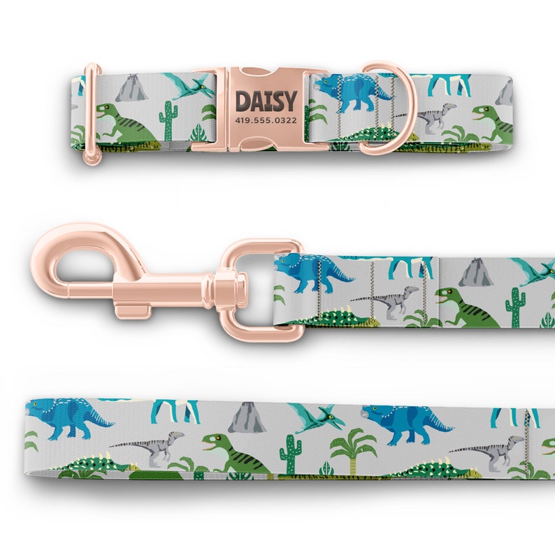 May include: A grey dog collar and leash set with a dinosaur pattern. The collar has a rose gold buckle with the name "DAISY" and a phone number.