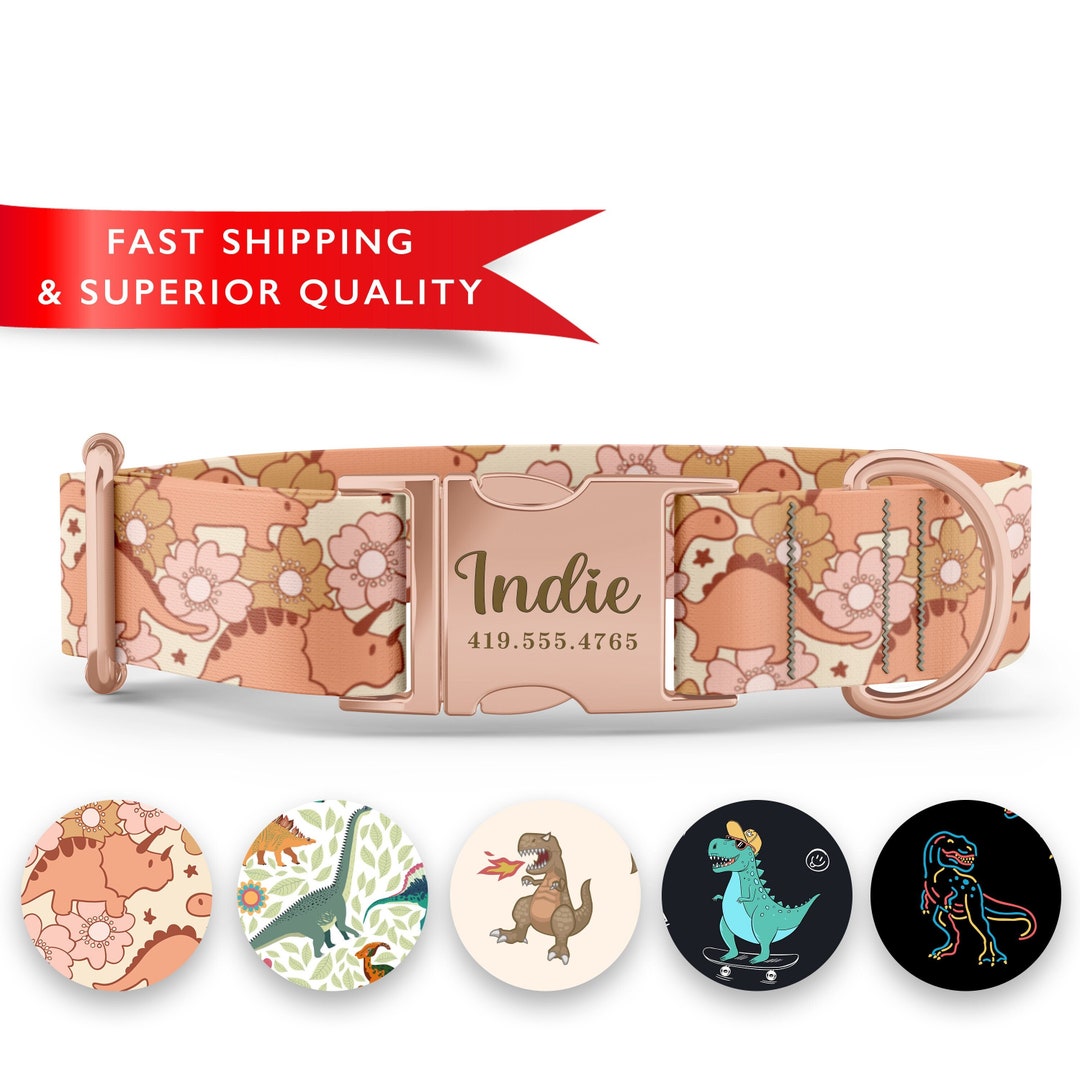 Dinosaur Dog Collar Personalized Dog Collar Custom Dog Etsy