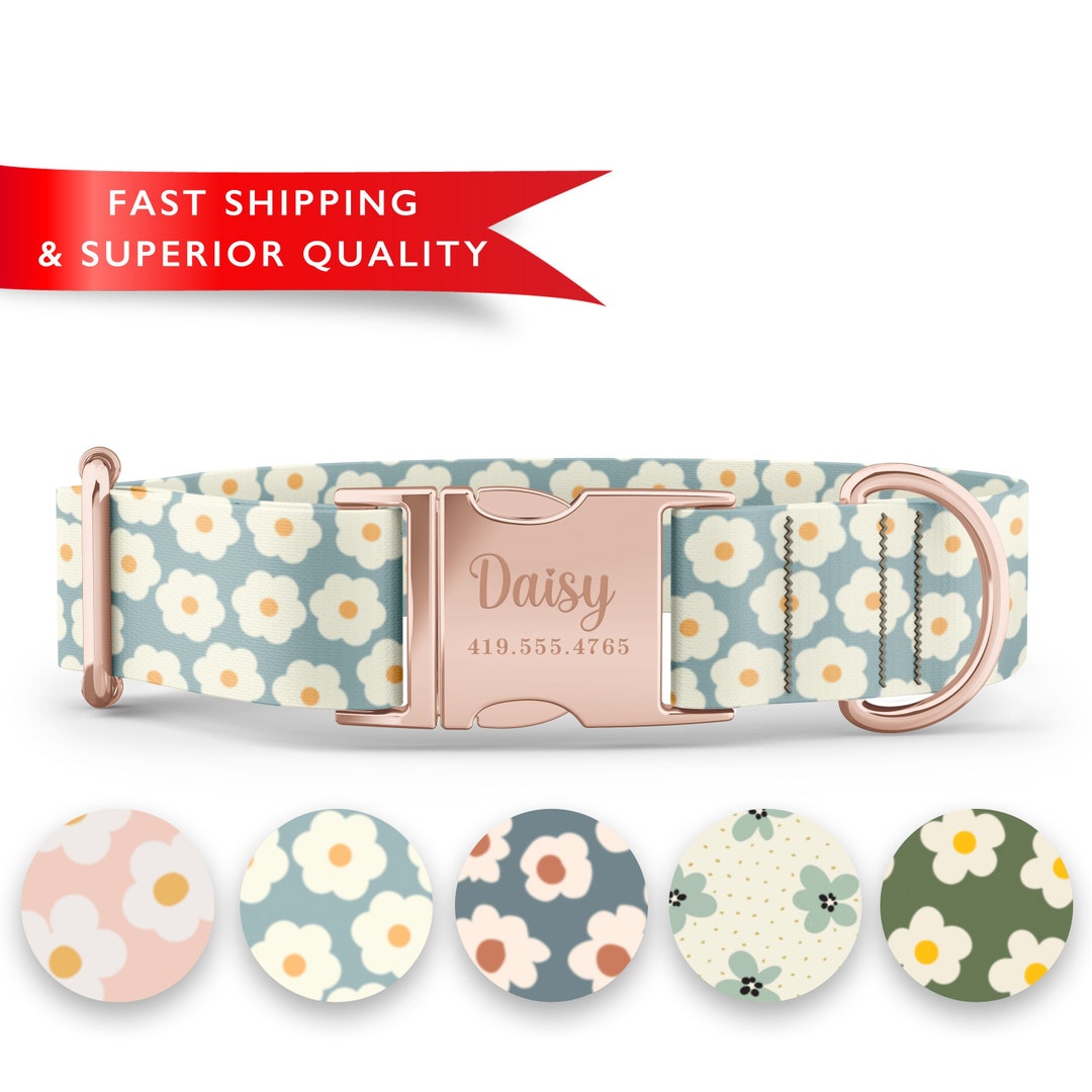 Daisy Dog Collars Girl, Cute Dog Collars, Blue Daisy Dog Collar, Flower