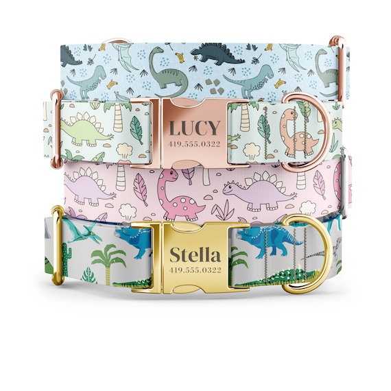 Dinosaur Dog Collar: Personalized Custom Pet Collar