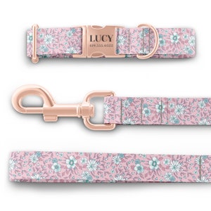 K&ouml;nnte beinhalten: Ein rosa Hundehalsband und eine Leine mit einem Blumenmuster. Das Halsband hat eine ros&eacute;goldene Schnalle mit dem Namen "LUCY" und der Telefonnummer "419.555.0322" eingraviert.