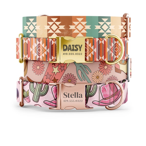 Cowgirl Chic Dog Collar: Western Pet Collar, Personalized