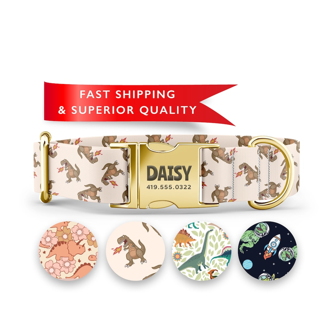 Dinosaur Dog Collar, Personalized Dog Collar, Custom Dog Collar With
