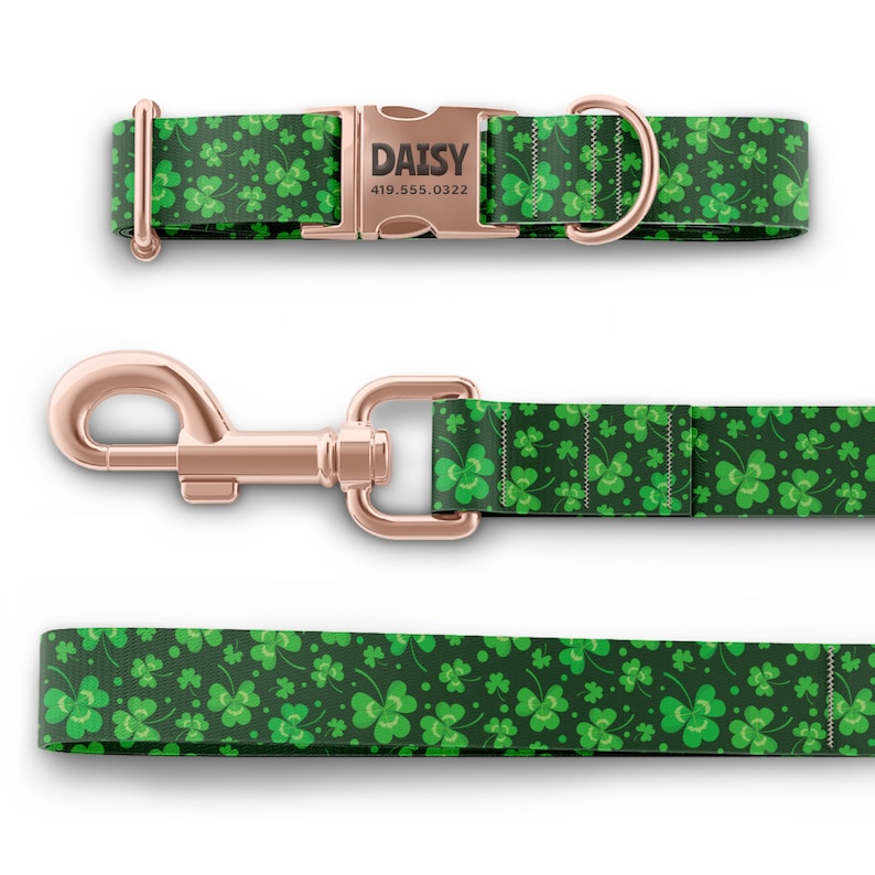 K&ouml;nnte beinhalten: Ein gr&uuml;nes Hundehalsband und eine Leine mit Kleeblatt-Muster. Das Halsband hat eine ros&eacute;goldene Schnalle mit dem Namen "DAISY" und einer Telefonnummer. Die Leine hat einen ros&eacute;goldenen Clip.