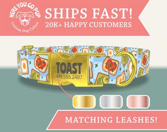 Personalized Dog Collar, Avocado Toast Dog Collar, Custom Breakfast Dog Collar, Engraved Buckle, Dog Mom Gift, Fast Shipping
