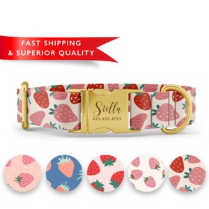 May include: A gold dog collar with a white background and a red strawberry pattern. The collar has a gold buckle with the name "Stella" and phone number "419.555.4765" engraved on it. The image also shows five different variations of the strawberry pattern.