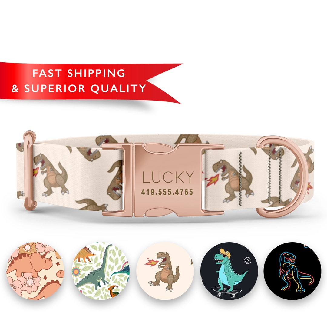Dinosaur Dog Collar Personalized Dog Collar Custom Dog Etsy