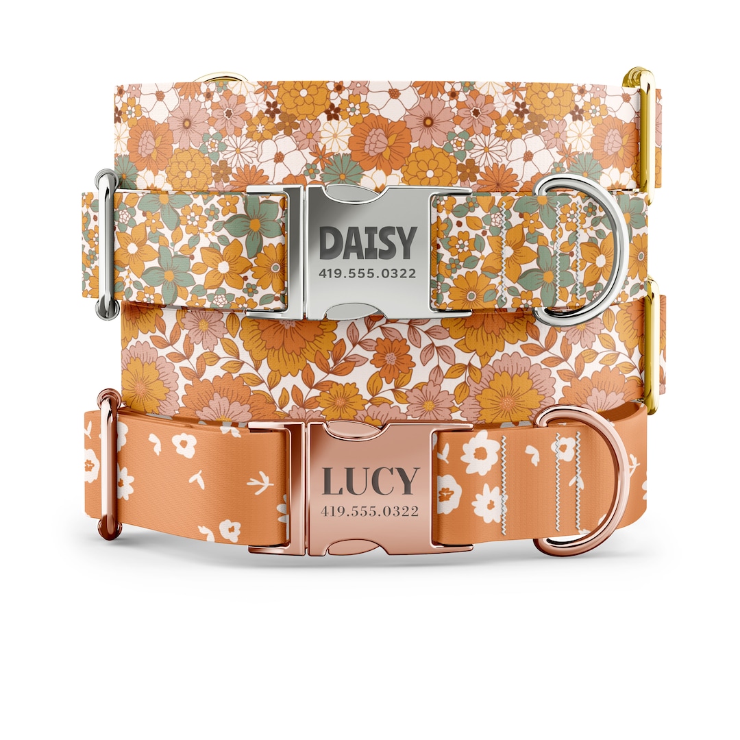 Girl Dog Collars, Flower Dog Collars, Personalized Dog Collars With