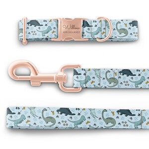 May include: A blue dog collar and leash set with a dinosaur pattern. The collar has a rose gold buckle with the name "Willow" and a phone number engraved on it.