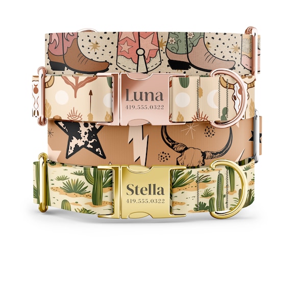 Western Dog Collar: Cowgirl Chic, Personalized Pet Collar