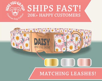 May include: A custom dog collar with a daisy floral pattern on a pink background. The collar features a gold-colored buckle engraved with the name "DAISY" and a phone number. The image also shows options for matching leashes.