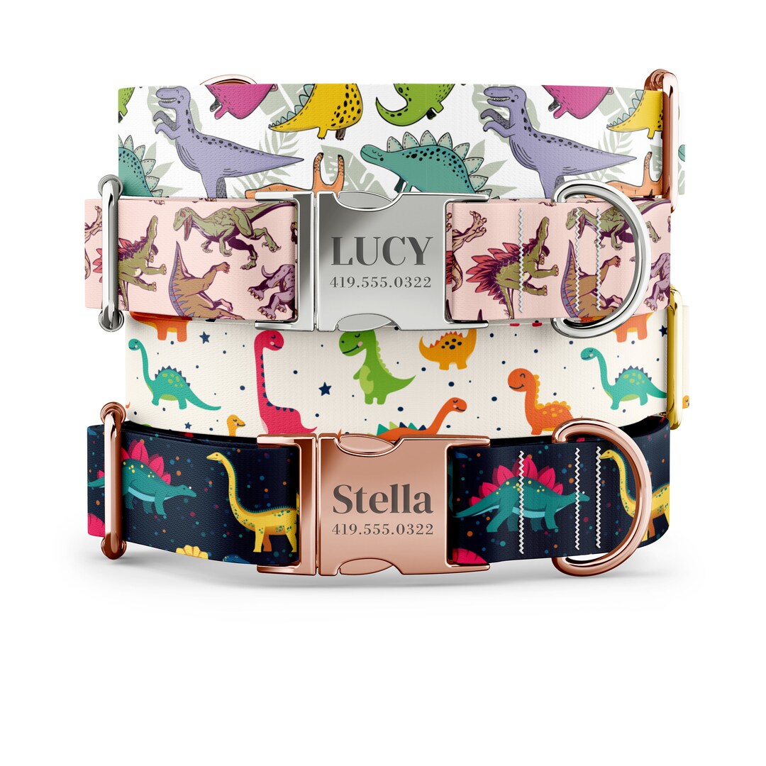 Dinosaur Dog Collar Personalized Dog Collar Custom Dog Etsy