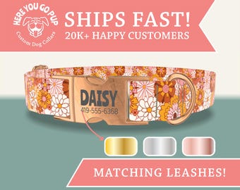 May include: A custom dog collar with a floral pattern in shades of orange, white, and brown. The collar features a gold-colored buckle engraved with the name "DAISY" and a phone number. The image also shows options for matching leashes.