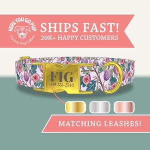 May include: Custom dog collar with a fig fruit and floral pattern. The collar has a gold-colored buckle with the name "FIG" and a phone number. The background is a light pink with a matching leash option.