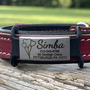 Silicone Pet Tag, Customized ID Tag, Dog Named Tag, Slide On Pet Tag, Custom Tag for Cat, Pet Name Sliding Tag, Silent Dog Tag