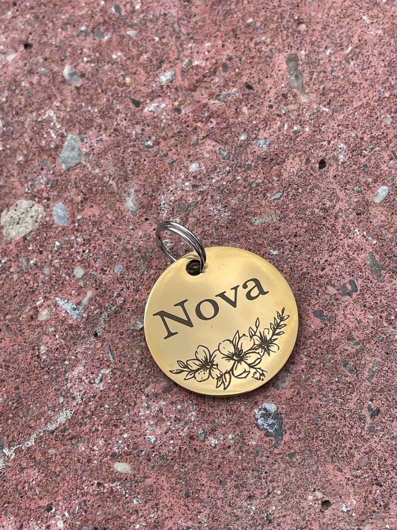 May include: Gold-colored round pet tag with the name "Nova" engraved in black lettering and a floral design.