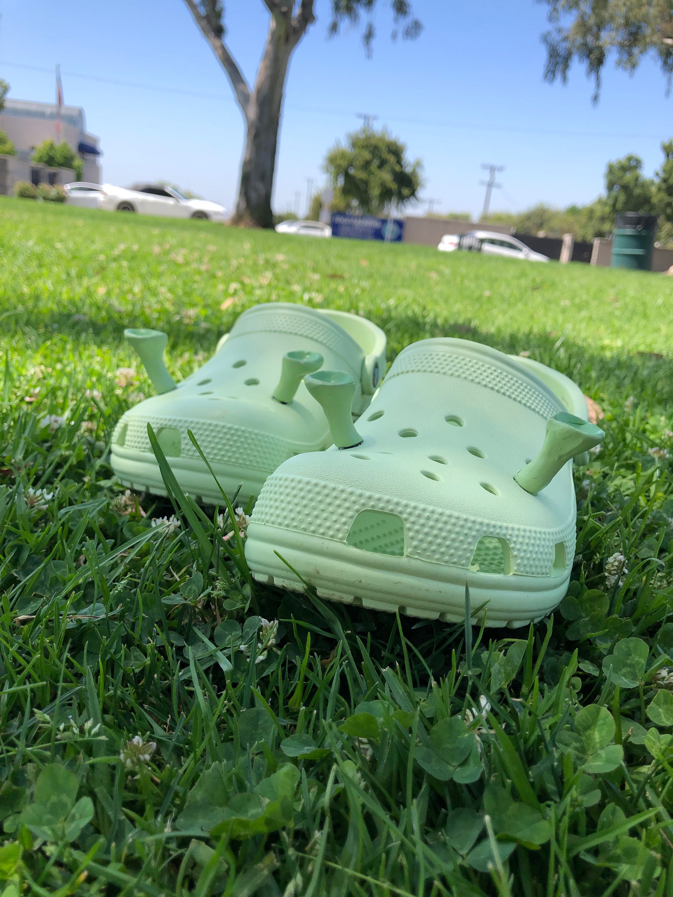 SHREK Crocs. - Things that are not aesthetic