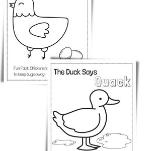 Animal Coloring Book, Learn About Animals for Toddlers, Home School ...