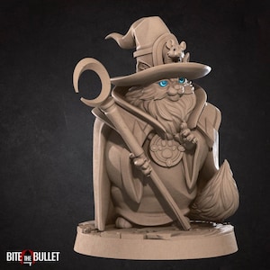 Cat Wizard | 32 mm Scale | Tabletop | unpainted miniature | DnD | Dungeons and Dragons