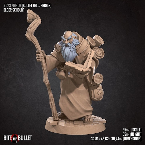 Elder Scholar | 32 mm Scale | Tabletop | unpainted miniature | DnD | Dungeons and Dragons