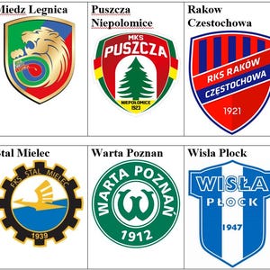 Puede incluir: Un collage de nueve logotipos de equipos de fútbol. Los logotipos están dispuestos en una cuadrícula de 3x3. Los logotipos son todos de diferentes colores y diseños. Los logotipos incluyen los nombres de los equipos: Miedz Legnica, Puszcza Niepolomice, Rakow Czestochowa, Stal Mielec, Warta Poznan y Wisla Plock.