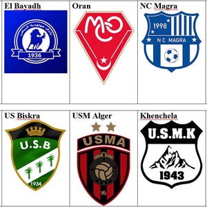 May include: A collage of 10 football team logos. The logos are arranged in a grid of two rows and five columns. Each logo is on a white background. The logos are all different colours and designs. The logos include the names of the teams, such as MC Alger, El Bavadh, Oran, NC Magra, Olympique Akbou, Paradou AC, US Biskra, USM Alger, and Khenchela.