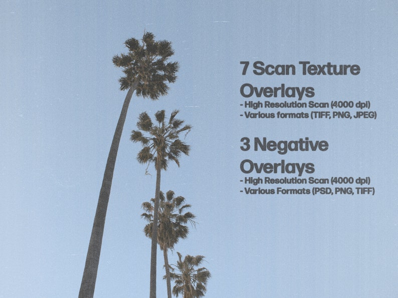 Scan Texture and Negative Film Overlay Pack Adobe Adobe
