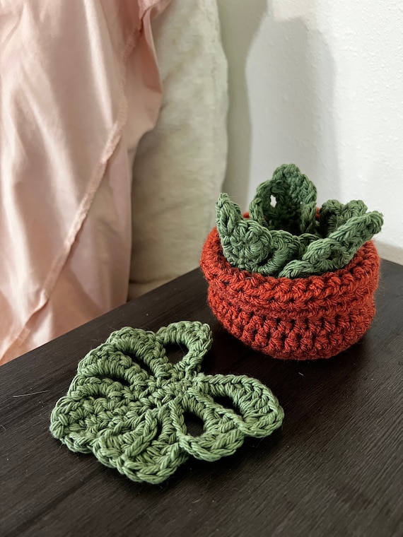 Tiktok Viral Crocheted Monstera Leaf Coaster Set and Pot - Faux Crochet  Succulent - Etsy Israel