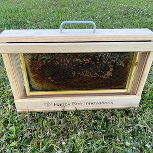 Observation Beehive | Honeybee Educational Hive | Made in the USA