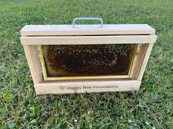 Observation Beehive | Honeybee Educational Hive | Made in the USA