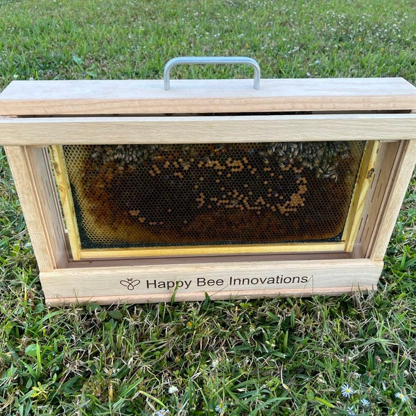 Observation Beehive | Honeybee Educational Hive | Made in the USA