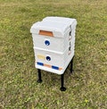 Apimaye ergo plus hive stand. made in the US!