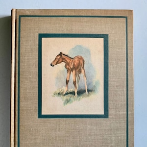 1945 Edition of The Red Pony by John Steinbeck Beautiful Illustrations
