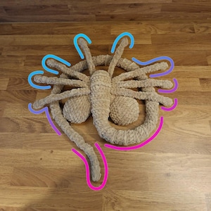 May include: A beige, plush, handmade spider-shaped decorative item. The spider has a rounded body and multiple long, curved legs. The item is made of a soft, textured material and is placed on a wooden surface.