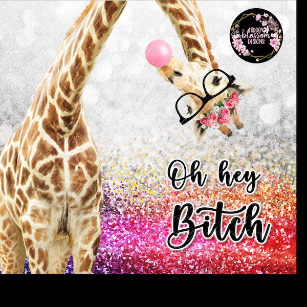 Oh Hey B*tch (Giraffe) Rainbow Faux Glitter 20 oz Skinny Tumbler Design - Digital File (PNG)