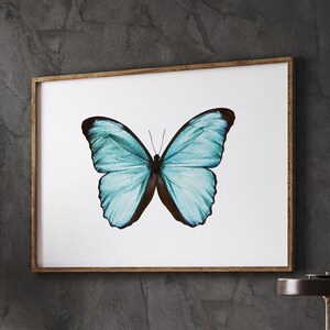 Butterfly Wall Decor, Girl’s Room Decor, Vintage Decor, Retro Prints