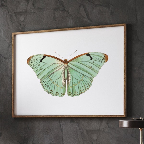 Pastel Butterfly Print, Green Butterfly, Boho Girl’s Nursery, Office Wall Art, Digital Download