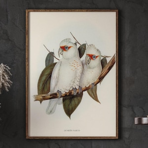 Bird on a Branch Farmhouse Print, Long-billed Cockatoo, Home Decor, Vintage Wall Art, Living Room Wall Decor, DIGITAL DOWNLOAD