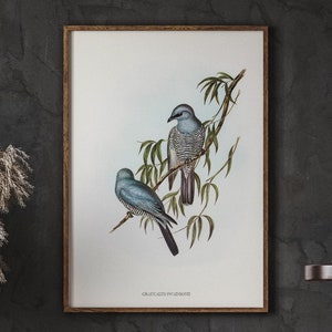 Antique Bird Spring Wall Decor, Vintage Animal Art, Farmhouse Nursery Animals, Bird Lover Art, Living Room Wall Decor, DIGITAL DOWNLOAD