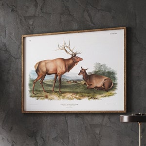 Vintage Tier Poster, Elch Art Print, Cervus Canadensis, Wapiti Hirsch, Wald Kinderzimmer Dekor, Wald Animal Prints, Instant Download