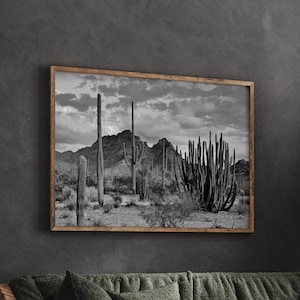 Vintage Wüstenlandschaft Wandkunst, Schwarzweiß-Wüstenkunst, Südwestern Dekor, Wüstenkaktus Große Wandkunst, DIGITALER DOWNLOAD